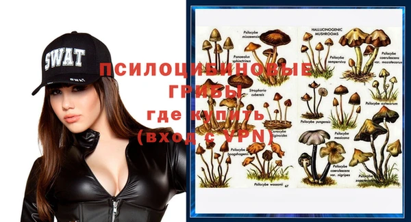 MDMA Premium VHQ Алексеевка